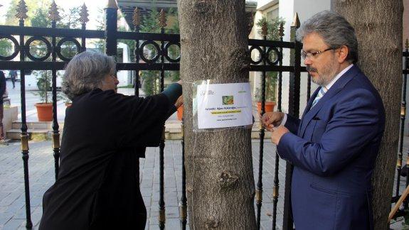 Ağaçların Adları-İstanbul-Projesi